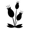 Blumen_Lange_Filiale1